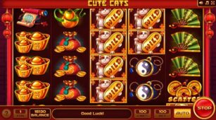 Cute Cats demo play free 3