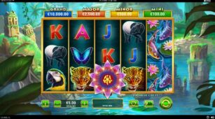 Frogs Gift demo play free 0