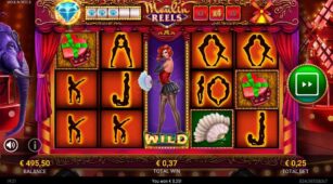 Moulin Reels demo play free 2