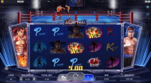Muaythai demo play free 0