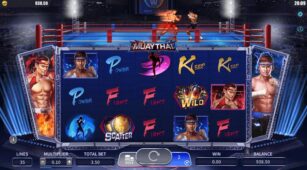 Muaythai demo play free 1