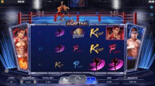 Muaythai demo play free 3