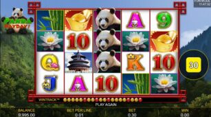 Panda Payday demo play free 1
