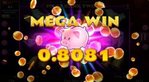 Piggy Bank Twins demo play free 3