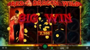 Red Dragon Wild demo play free 0