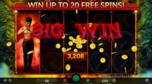Red Dragon Wild demo play free 3