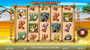 Wild Gambler demo play free 2