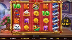 Xiao Mi Mi demo play free 1