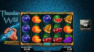 Thunder Wild demo play free 1