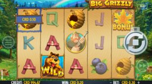 Big Grizzly demo play free 3