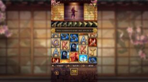 Ninja Vs Samurai demo play free 0